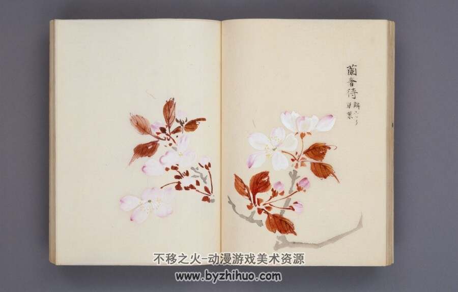 樱花78图谱 传统绘画素材百度网盘分享pdf格式下载