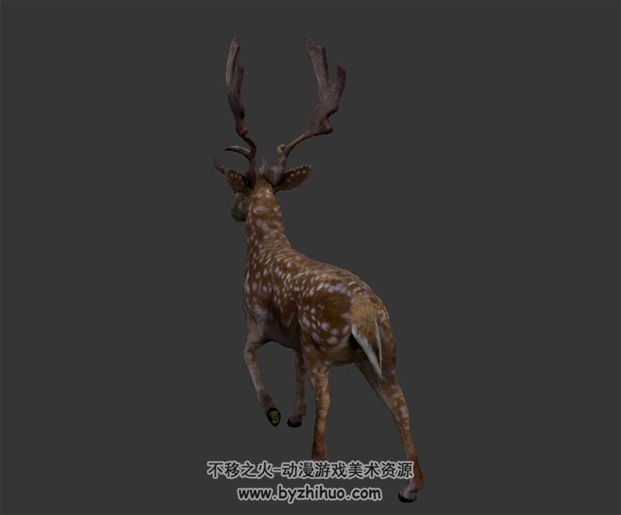 写实风麋鹿 有绑定和动作 3D模型百度网盘下载