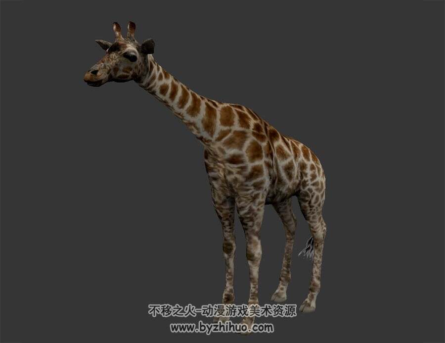 长颈鹿 写实风 有骨骼绑定和动作 3D模型百度网盘下载