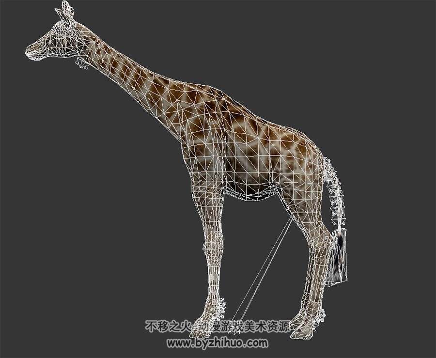 长颈鹿 写实风 有骨骼绑定和动作 3D模型百度网盘下载