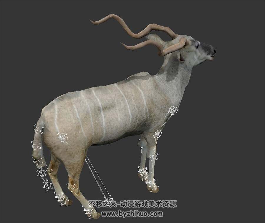 羚羊 写实风 有骨骼绑定和动作 3D模型百度网盘下载
