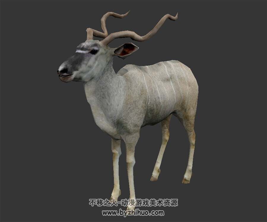 羚羊 写实风 有骨骼绑定和动作 3D模型百度网盘下载