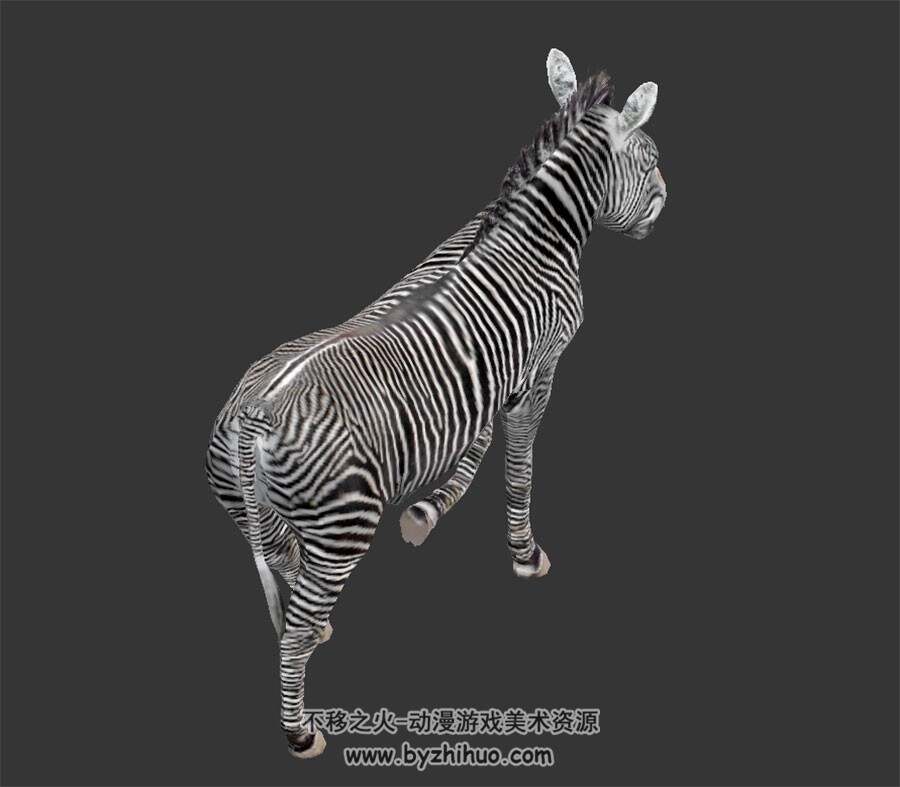斑马 写实风 有骨骼和动作 3D模型百度网盘下载