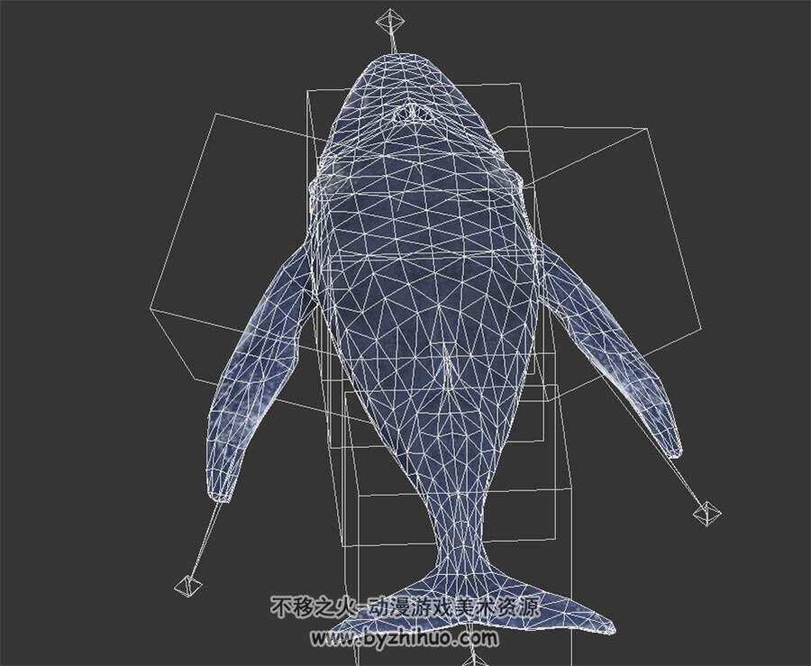 蓝鲸 写实风  有骨骼和动作 3D模型百度网盘下载