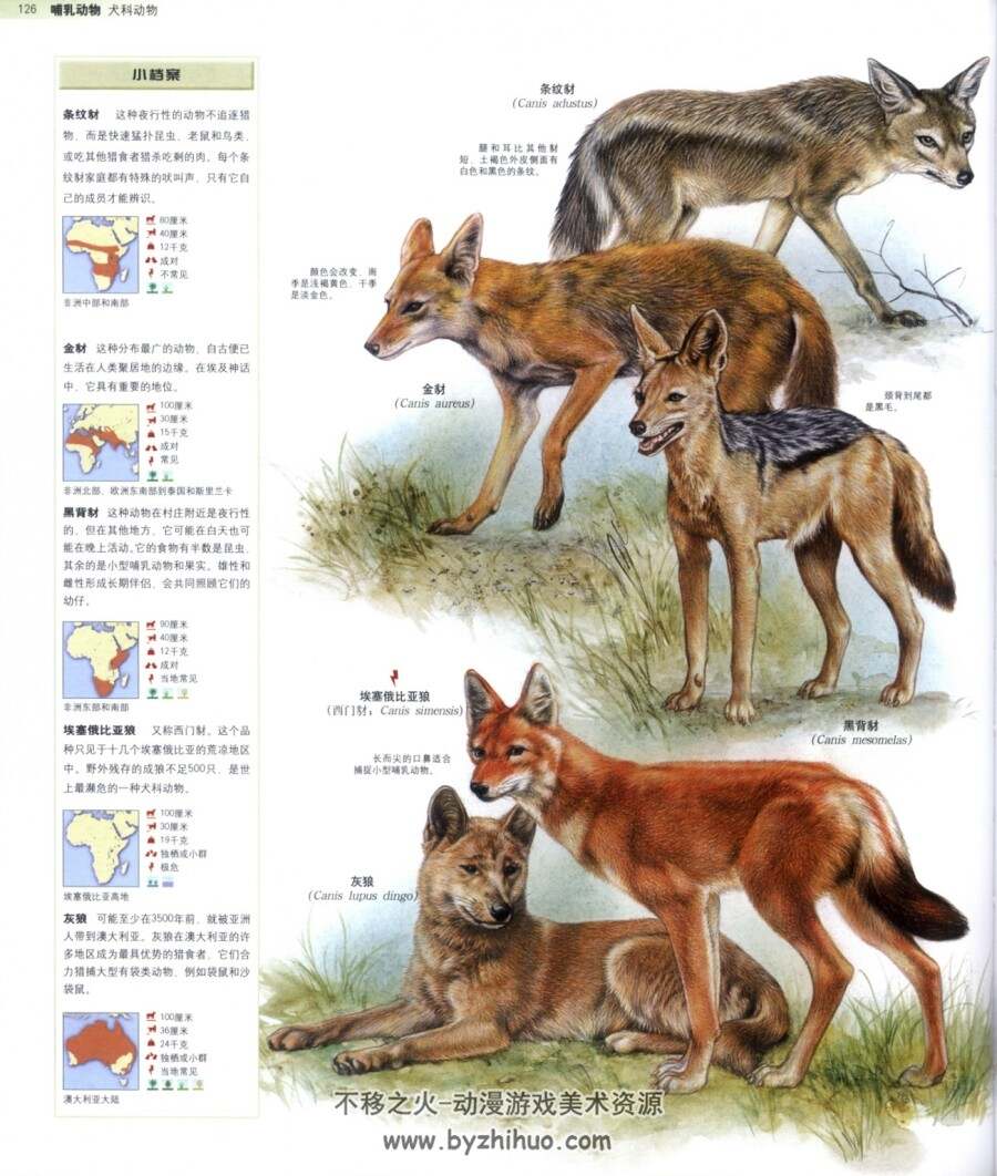动物百科图鉴