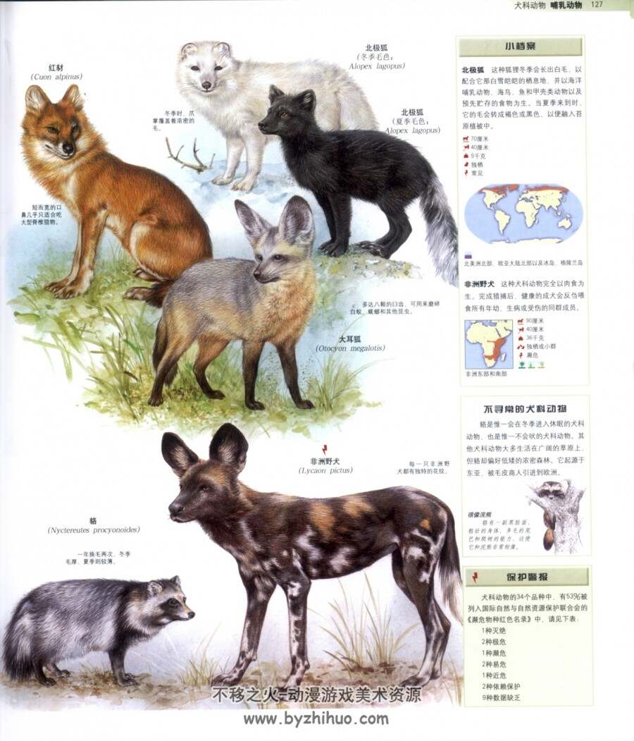 动物百科图鉴