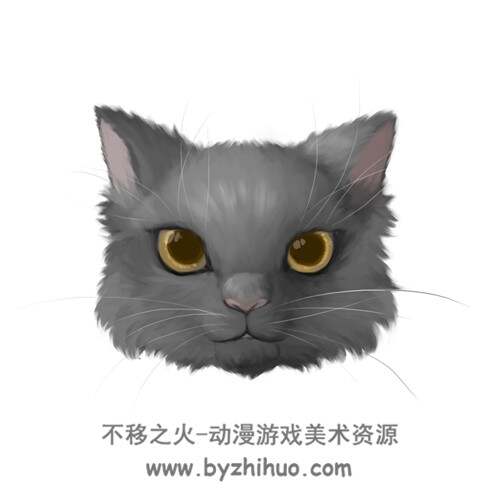 小动物头像画这个超快！