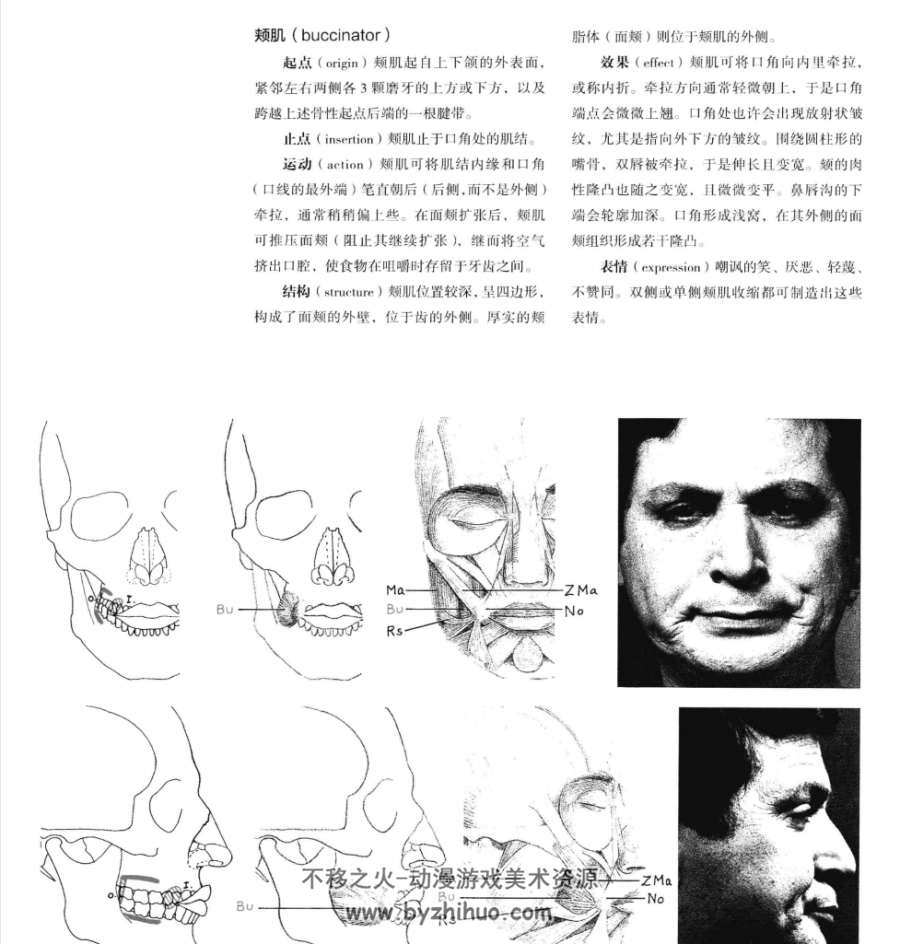 牛津艺术用人体解剖学中文版pdf