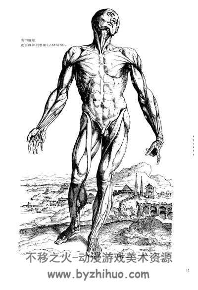 动态素描·人体解剖 - 伯恩・霍加斯