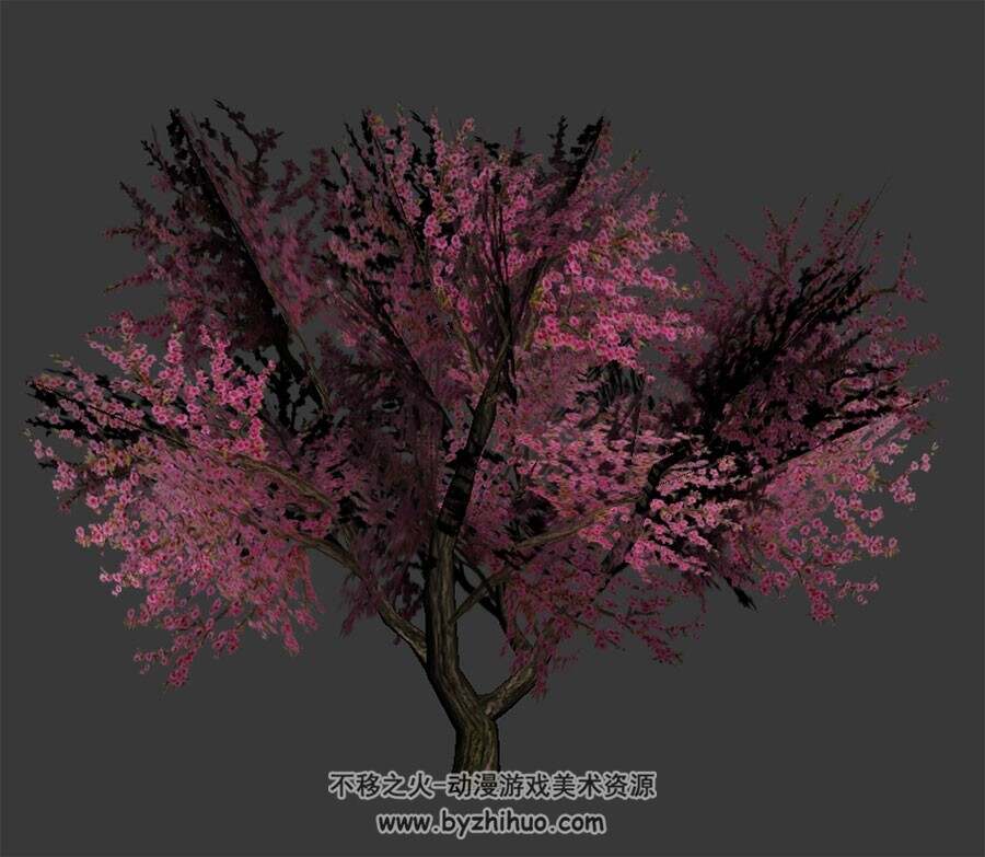 桃花树 3D模型下载 max格式