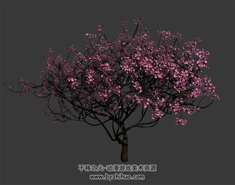 樱花树 四角面3D模型下载 max格式