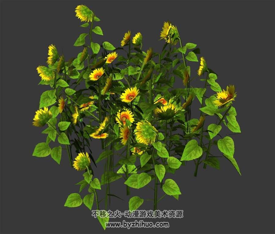 向日葵花丛 3D模型 max格式下载