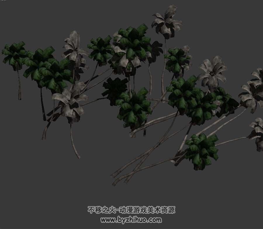椰子树 max模式下载 3D模型