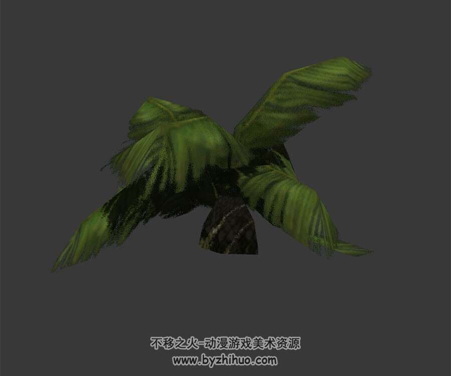 芭蕉树 植物3D模型 max格式下载