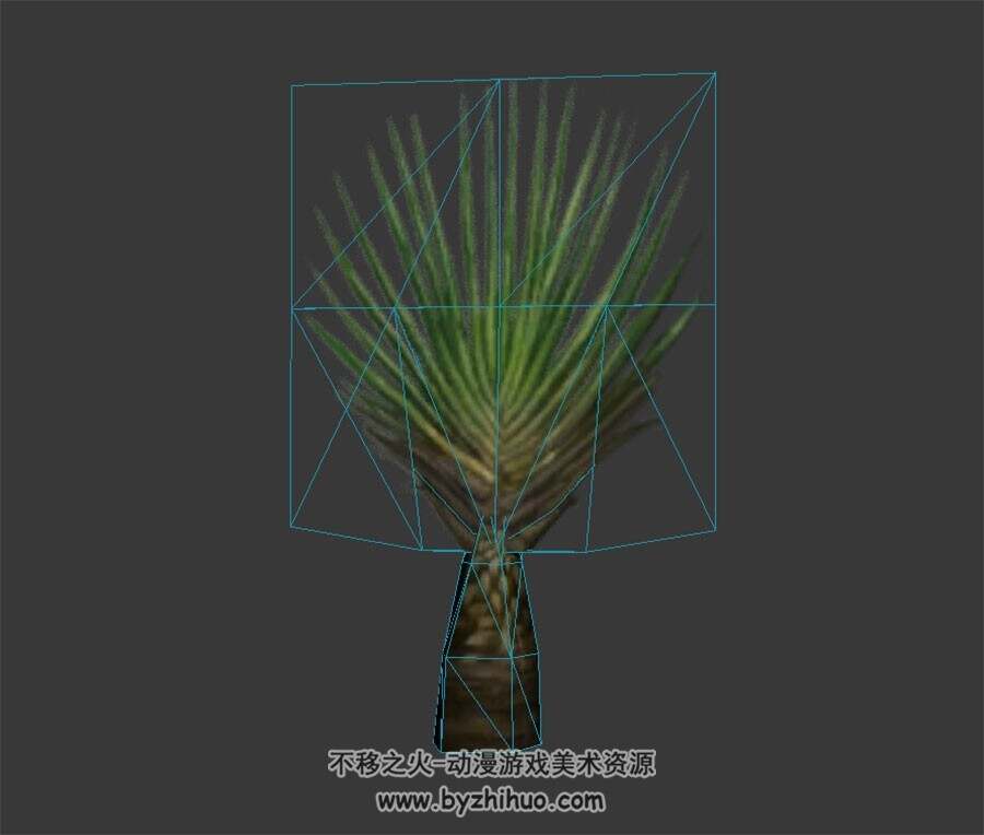 热带植物 max格式 3D模型下载