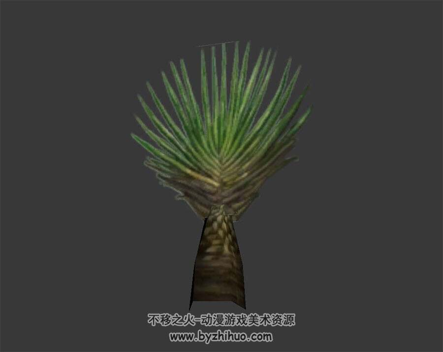 热带植物 max格式 3D模型下载