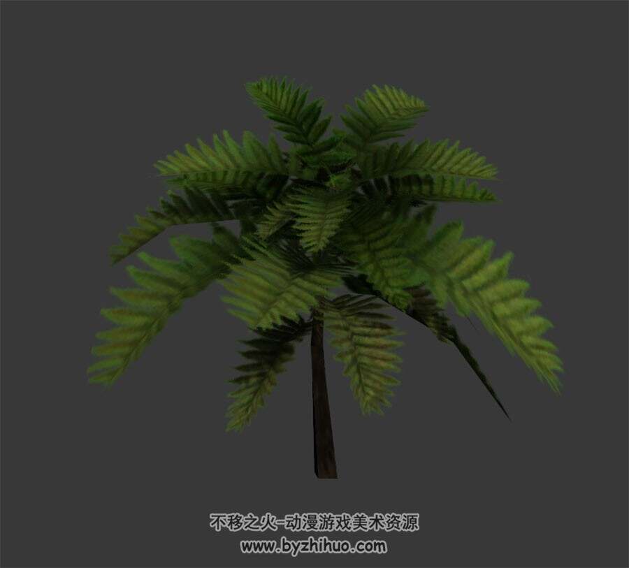 棕榈 3D模型下载 max格式