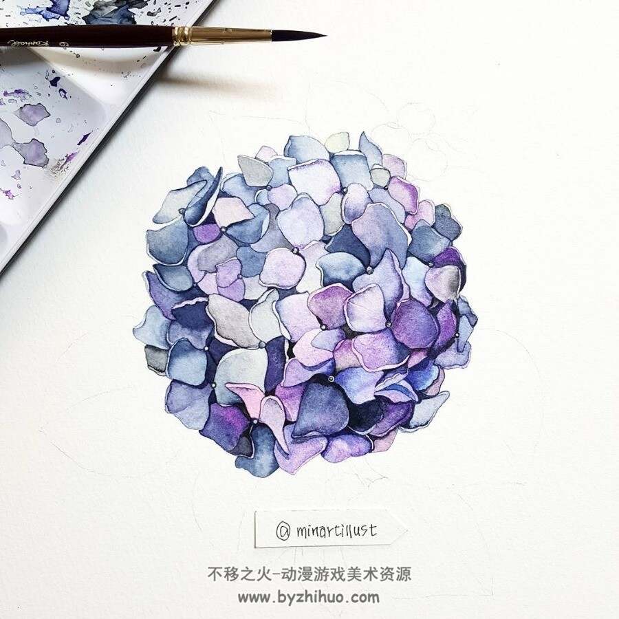 Mina水彩小清新植物插画