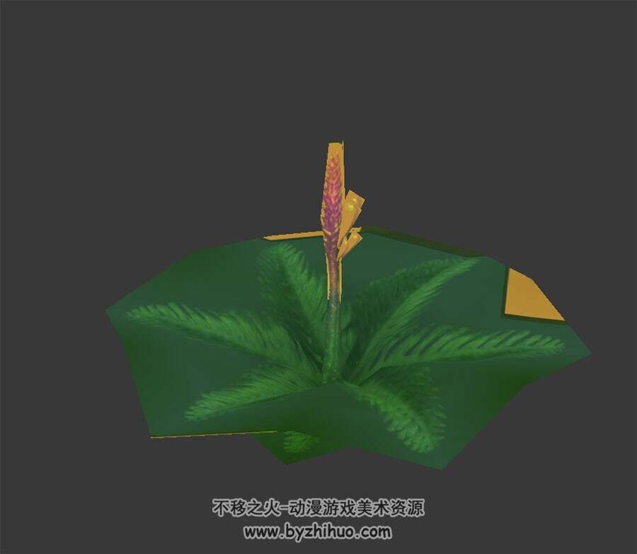蕨类植物 max模式下载 3D模型