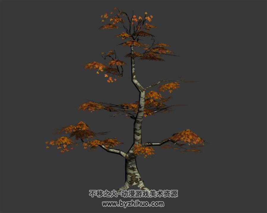 大冠幅枫树 3D模型下载 四角面 max格式