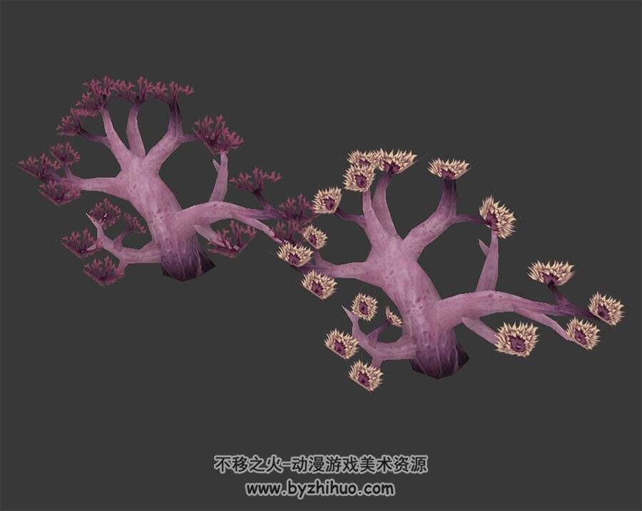 珊瑚 海洋动物 四角面3D模型 max格式下载