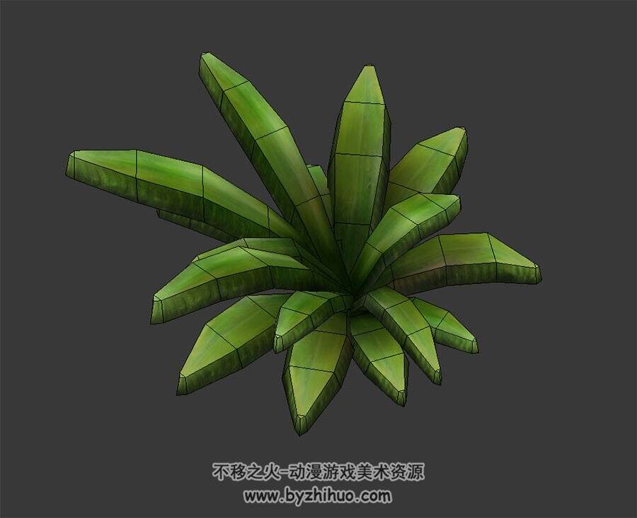 厚叶植物 3D模型 四角面max格式下载