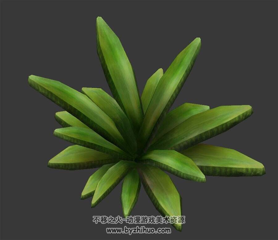 厚叶植物 3D模型 四角面max格式下载