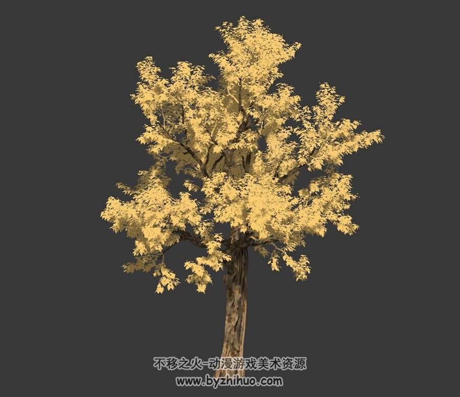 银杏树 max格式 3D模型下载 四角面