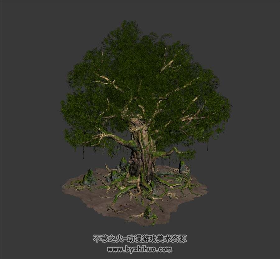 雨林大树 3D模型下载 max格式