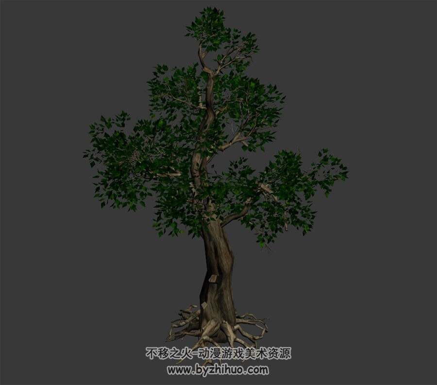 槐树 max格式 3D模型下载 四角面