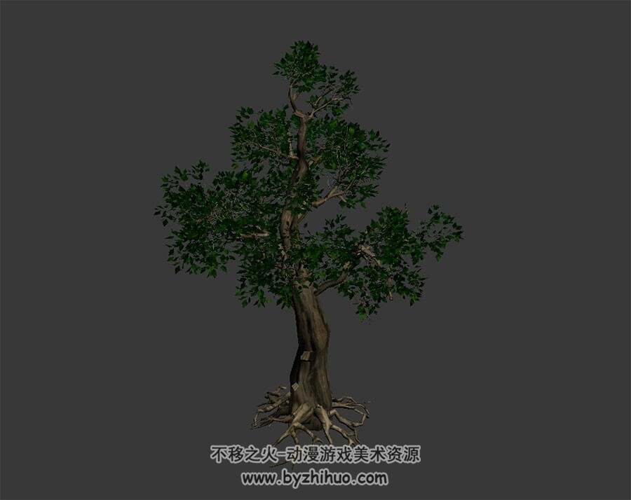槐树 max格式 3D模型下载 四角面