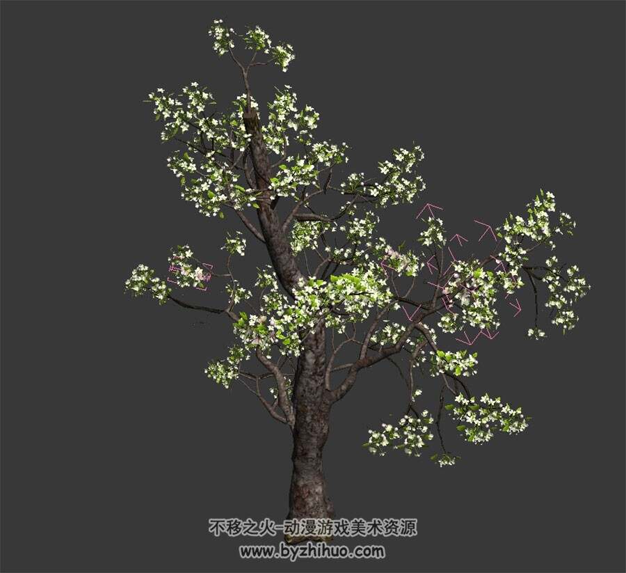 梨花树 3D模型下载 四角面 max格式