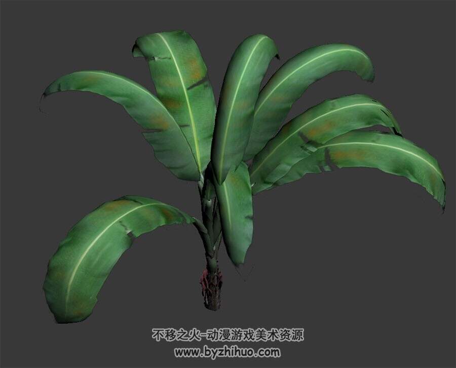 芭蕉树 max模式下载 3D模型