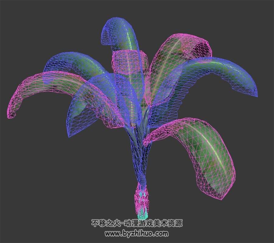 芭蕉树 max模式下载 3D模型