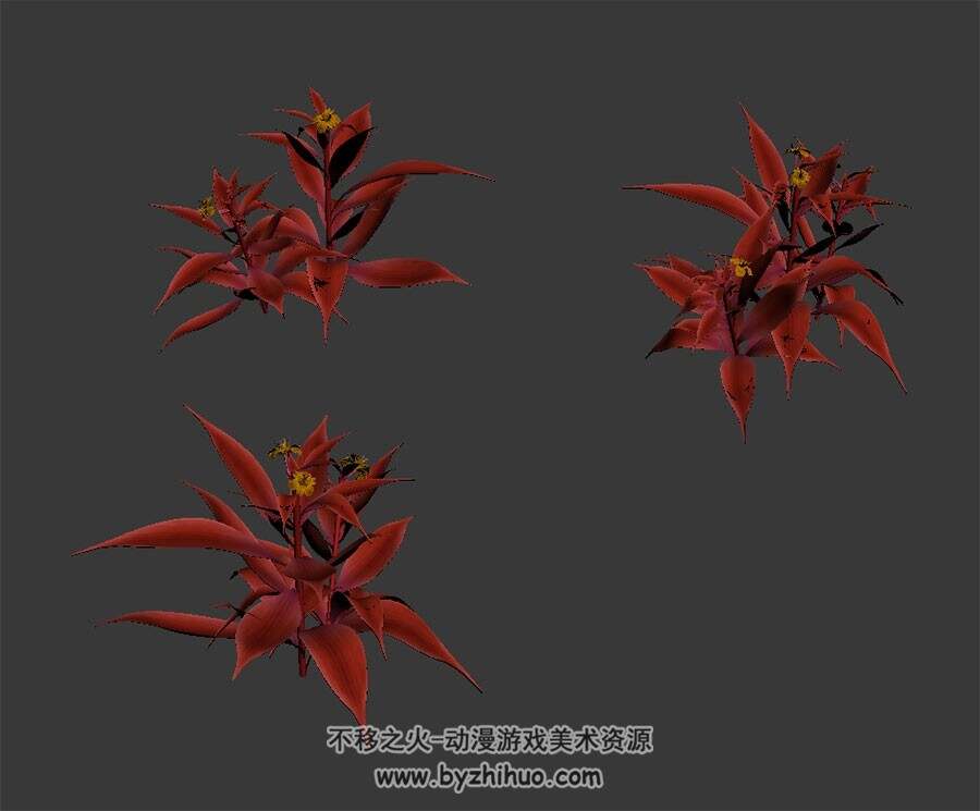 热带红色植物 3D模型下载 四角面 max格式