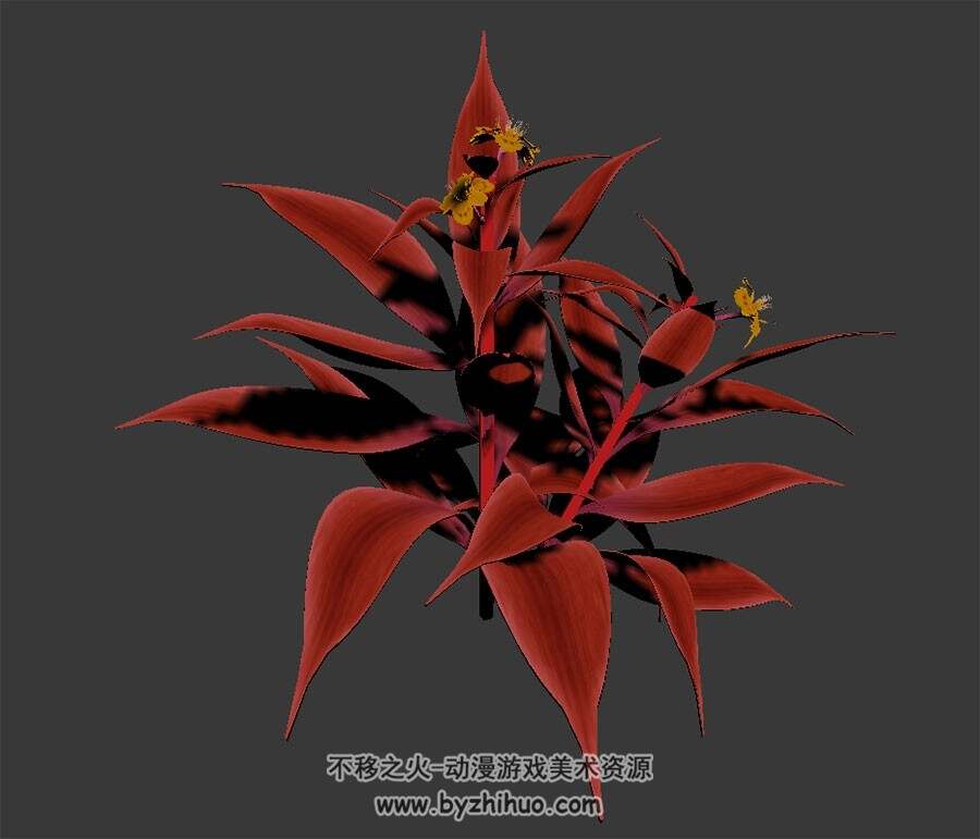 热带红色植物 3D模型下载 四角面 max格式