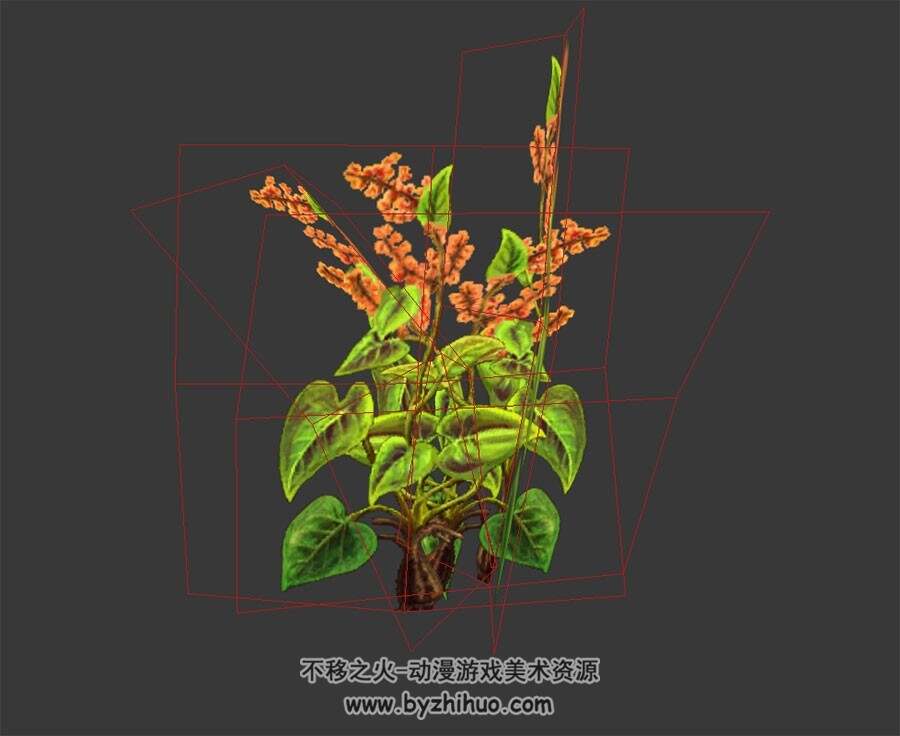 何首乌 中草药植物 四角面3D模型 max格式下载