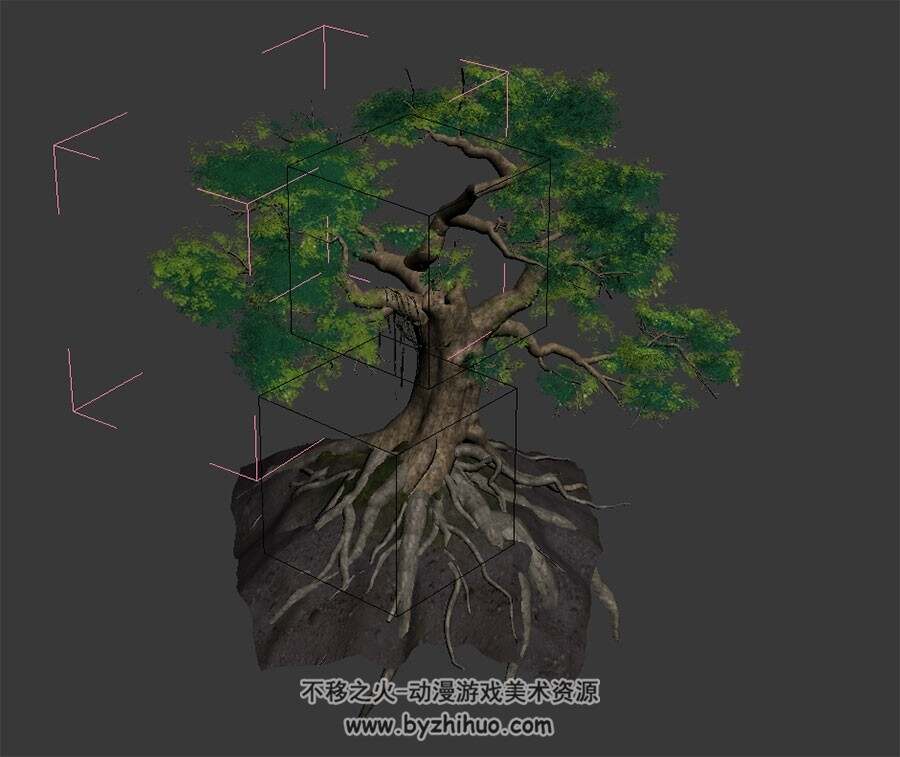 参天大树 max格式 3D模型下载 四角面