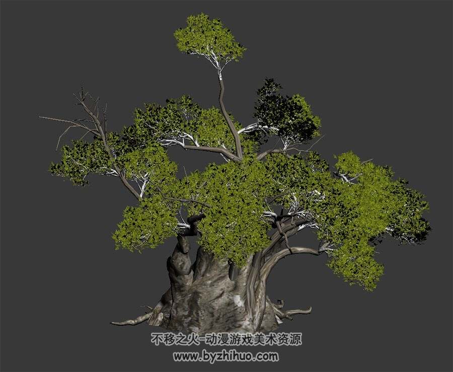 老树 3D模型 四角面max格式下载