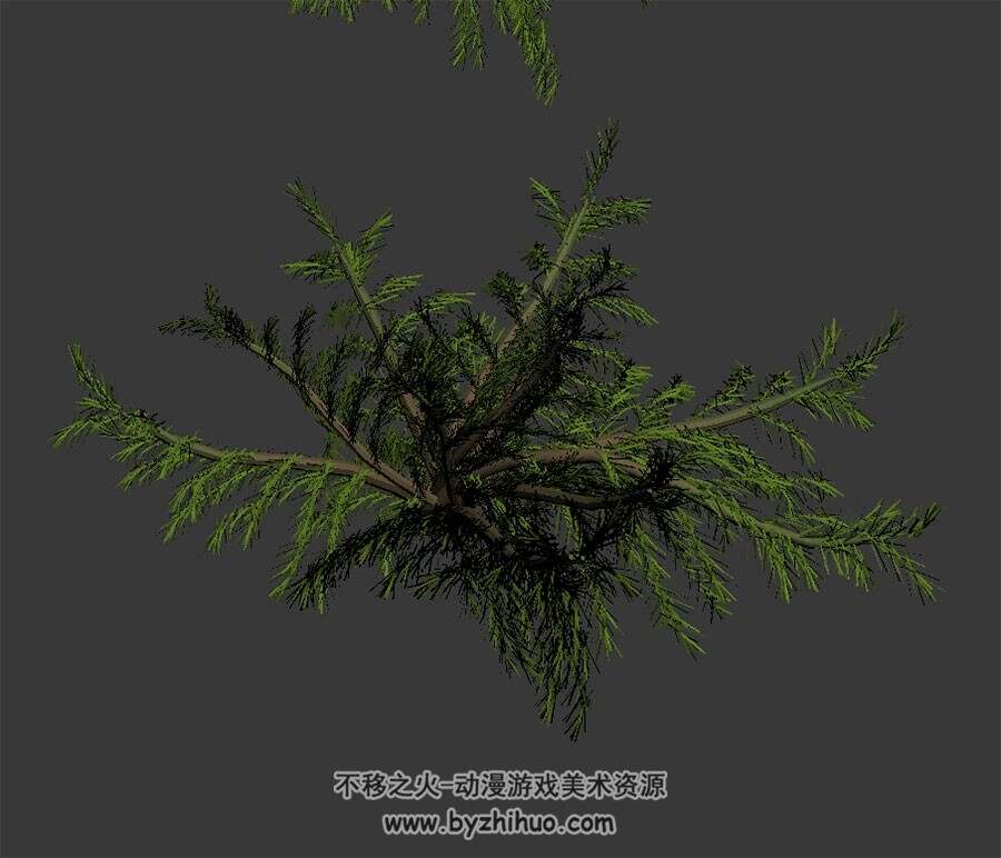 野生植物 四角面3D模型 max格式下载