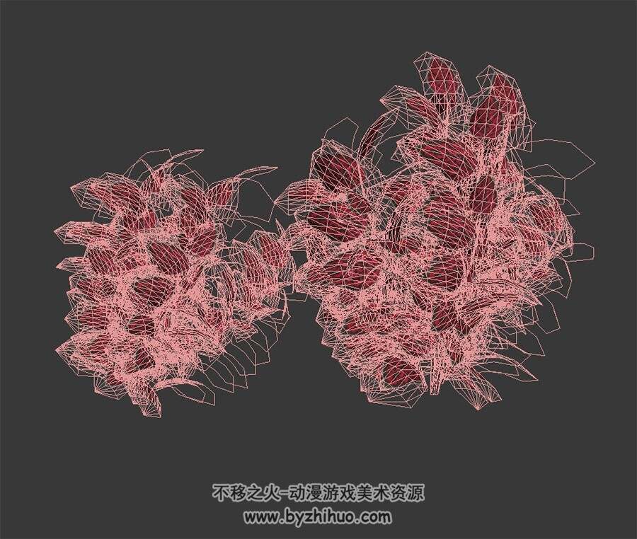 网纹草 max模式下载 3D模型