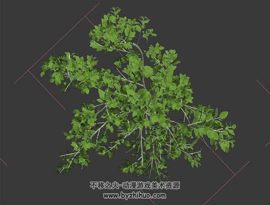 茶花树 3D模型 四角面max格式下载