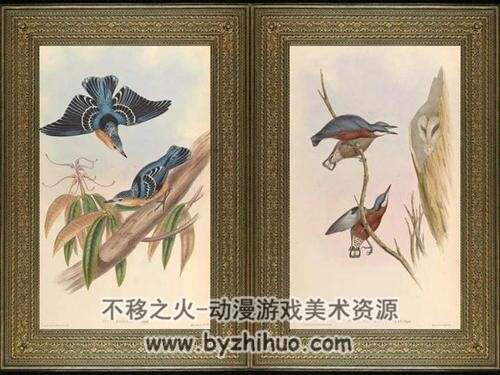 亚洲鸟版画Birds of Asia 1-7PDF全集