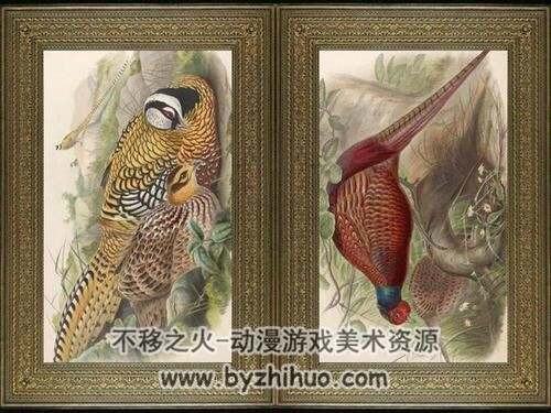 亚洲鸟版画Birds of Asia 1-7PDF全集