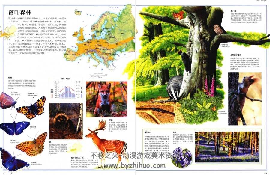 中国国家地理：野生动物 百度网盘PDF分享观看赏析