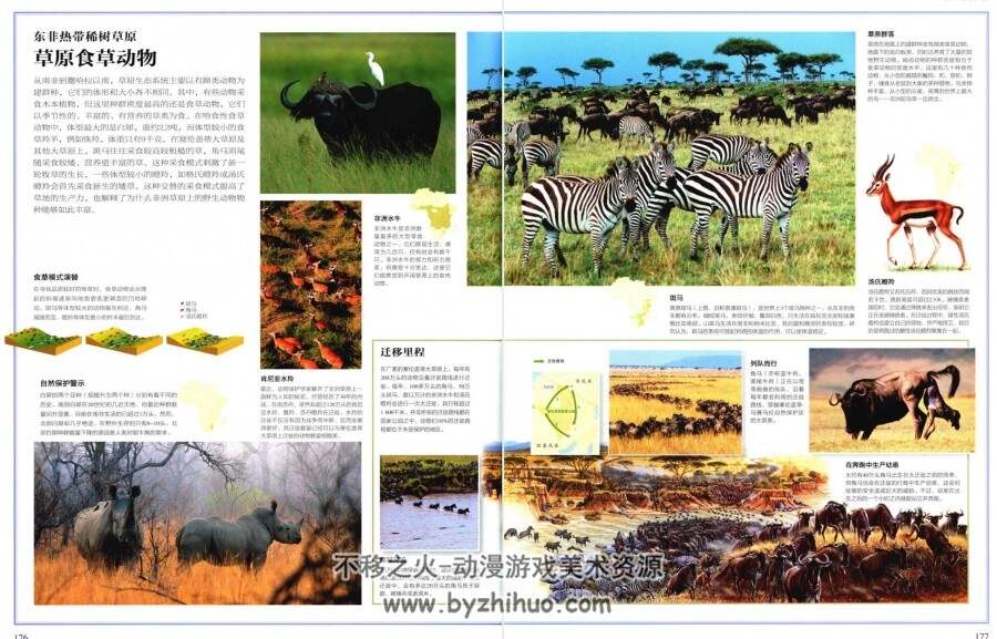中国国家地理：野生动物 百度网盘PDF分享观看赏析