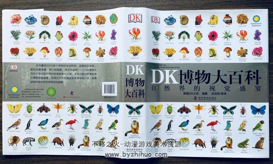 DK博物大百科：自然界的视觉盛宴 pdf格式分享观看