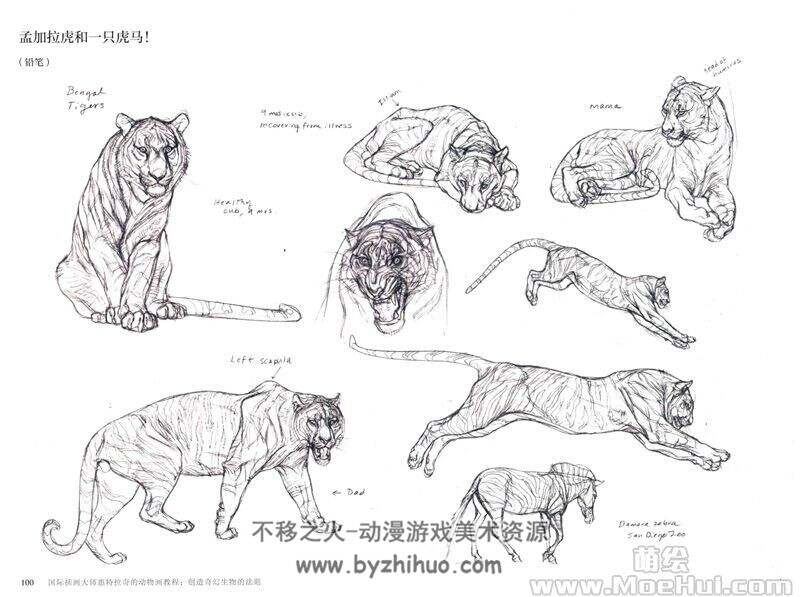 国际插画大师惠特拉奇的动物画教程 创造奇幻生物的法则[233P]