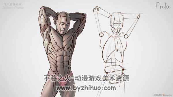 Proko解-剖付费版（中文）-256课时+Proko肖像高级付费版（中文）-31课时