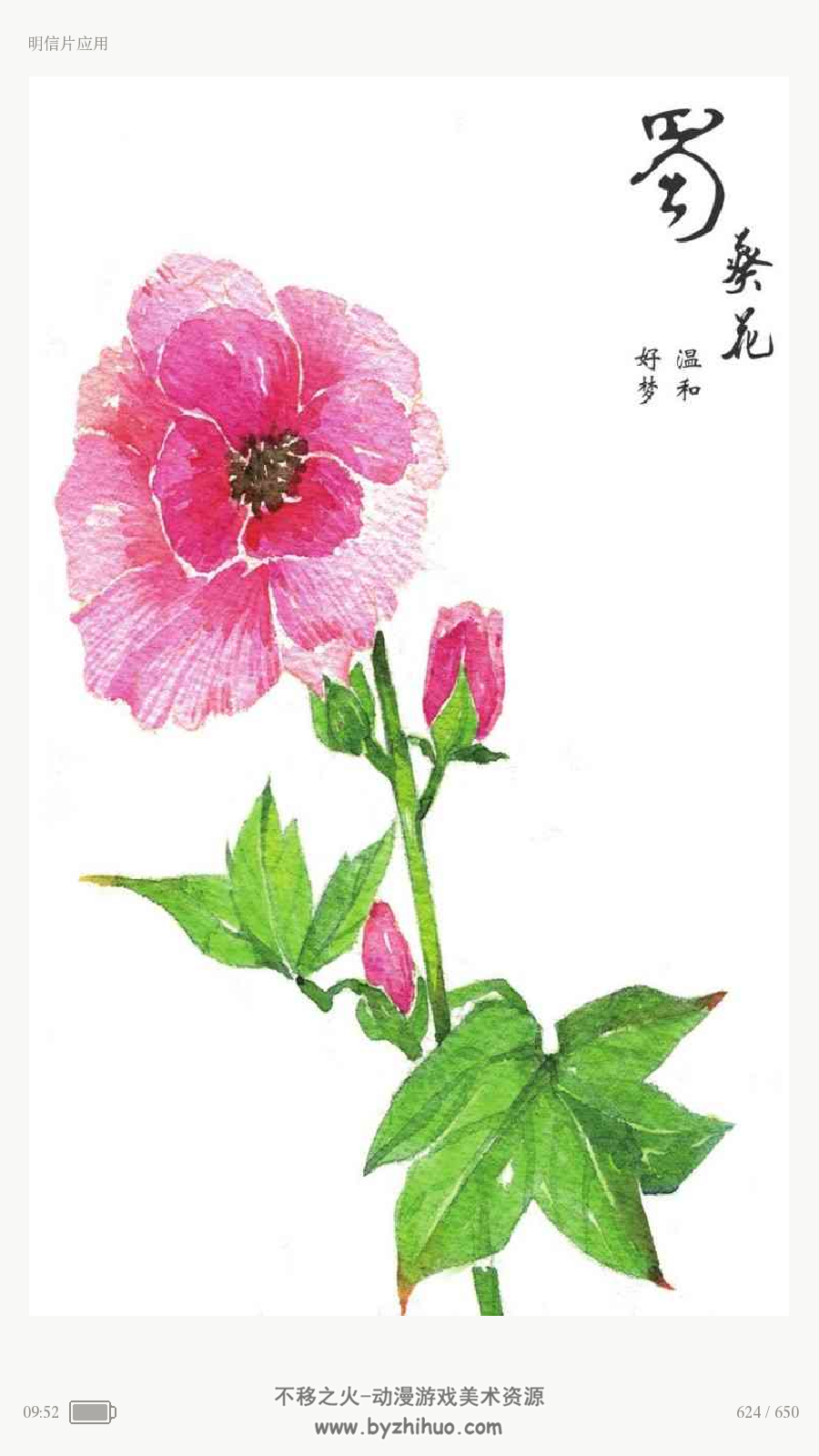 经典花语绘:30种幸福花卉的水彩插画技法